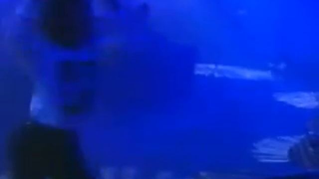 UR Live @ Rennes TransMusicales 1992 N°2