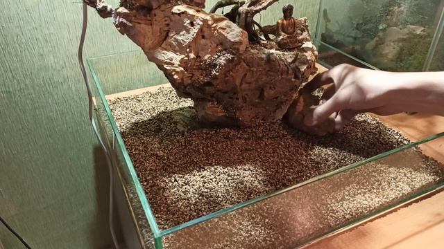 Недоблог 1.5 Запуск аквариума с бонсай смотреть онлайн