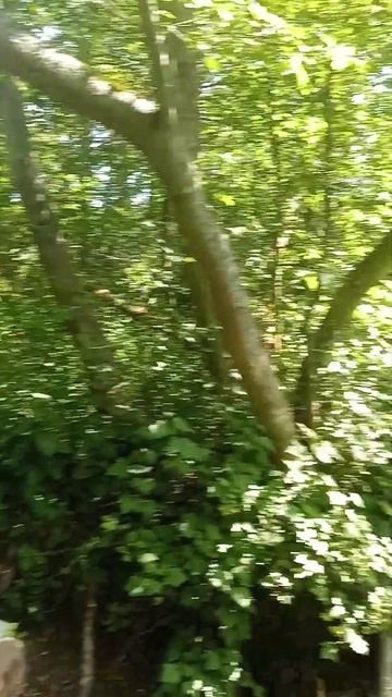 переломка на ремонт сломана кпп ремонт в лесу смотреть онлайн