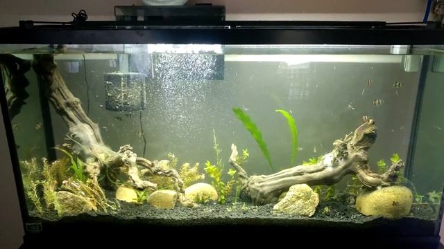 Aquarium Recovery #1 смотреть онлайн