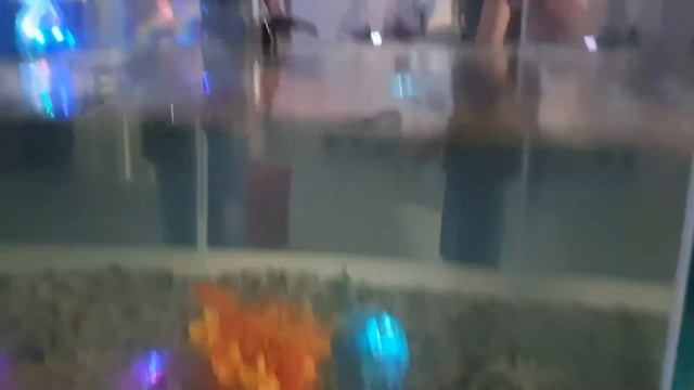 Роботы 2019 Рига 'Robotu pilseta' смотреть онлайн