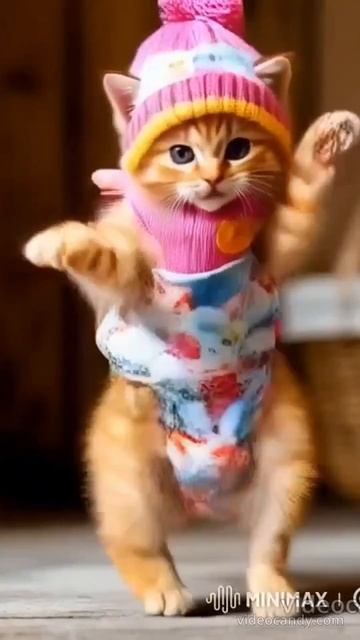 кот плясун смотреть онлайн