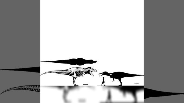 Tyrannosaurus Rex And Cristatusaurus Size Comparison смотреть онлайн