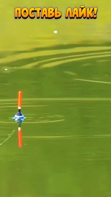 Рыбалка на Поплавок 11 #shorts Рыбак Подпишется!😍 смотреть онлайн