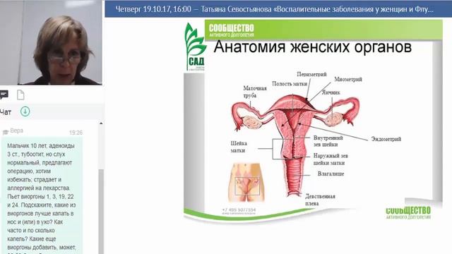 ACLON Флуревиты при воспалительных женских заболеваниях Севостьянова Т И 19 10 2017 смотреть онлайн