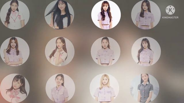 THE BEE GIRLS PROJECT ROUND 1 - WOW смотреть онлайн