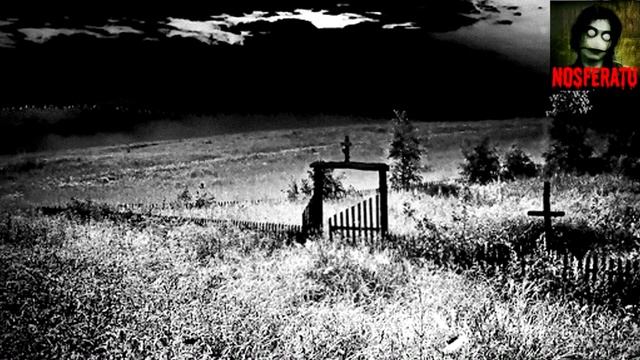 Навари борща. Страшные истории на ночь 🫣🫣🫣 смотреть онлайн