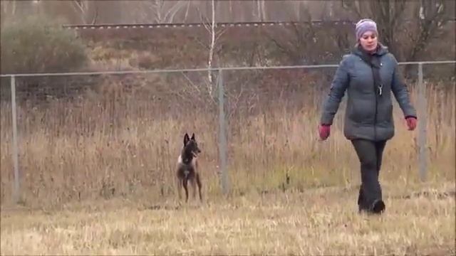 Деметра тренировка 29 октября 2017 смотреть онлайн