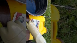 Коллоидная сера💥Борьба с болезнями и вредителями.💥🐛🕷🦋