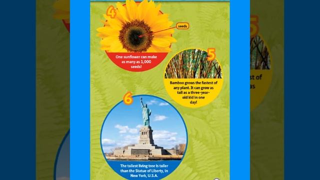 "Seed to Plant" ~ Plant Read Aloud ~ Plant Story time ~ Science Read Aloud ~ Garden Read Aloud смотреть онлайн