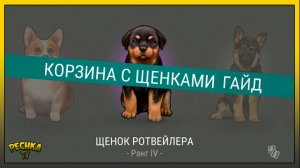 Корзина с Щенками в Ласт Дей! Где взять Корзина с щенками! Last Day on Earth: Survival