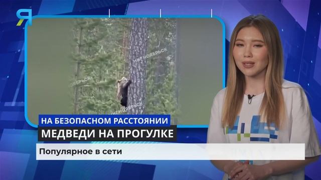 "Ямал-Медиа" продолжает составлять топ-3 популярных видео на просторах интернета смотреть онлайн