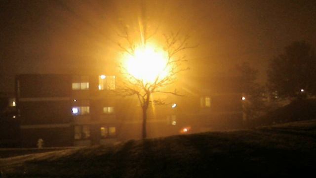 Forsaken Neon - Dimrain47