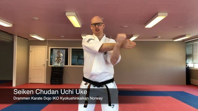 Seiken Chudan Uchi Uke