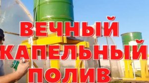 Вечный капельный полив своими руками. Полив огорода