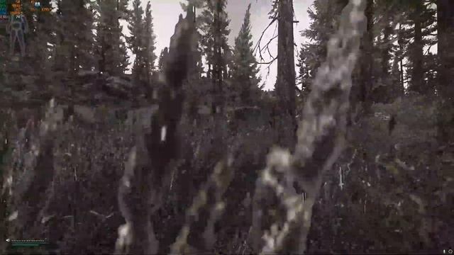 VEPR HUNTER WOODS RAID - 4 PMC KILLS - ESCAPE FROM TARKOV смотреть онлайн