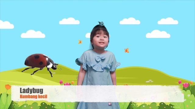 Learn Insect Names and Bugs Names for Kids | Insect Fun Fact for Kids смотреть онлайн