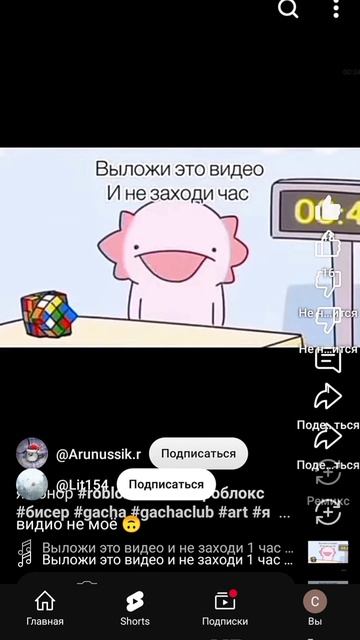 Аксолотль Читак