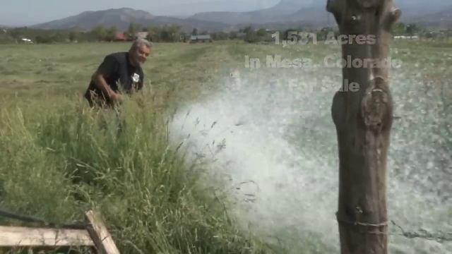 Cattle Ranch смотреть онлайн