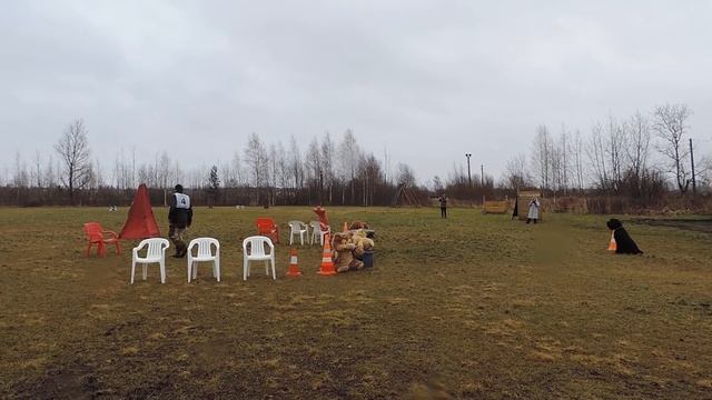 DSCN0893 нападение Добрыня смотреть онлайн