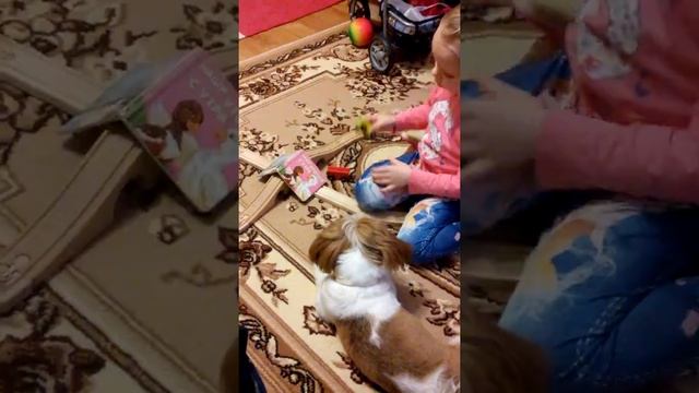 Лера тв фристайл смотреть онлайн