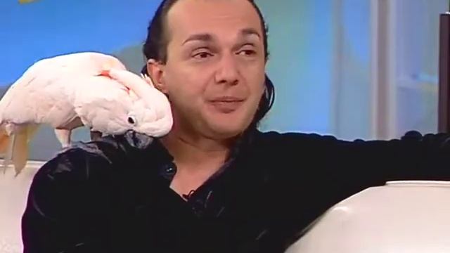 Гастроли цирка в Хабаровске смотреть онлайн