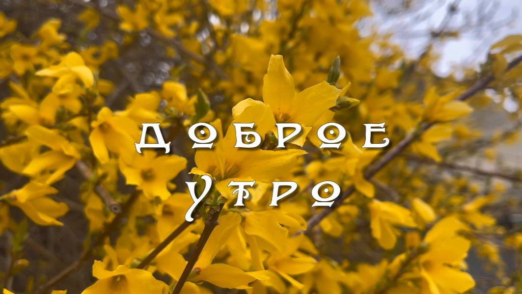 Доброе утро. Начни с улыбки новый день, песня с добрым утром смотреть онлайн