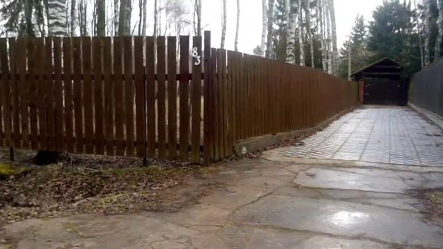 (75) Карантин. Прогулка по садовому товариществу смотреть онлайн