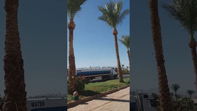 Queen Sharm  Resort (Вью) 4 звезды в  Шарм Эль Шэйхе