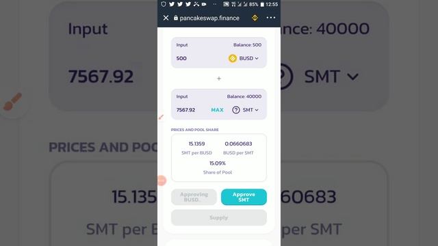 How To Provide Liquidity To Pools On Binance Smart Chain #BSC #BNB