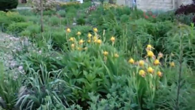 The garden in late May смотреть онлайн