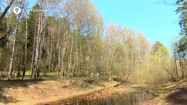 Пушкинская клиническая больница им. проф. Розанова