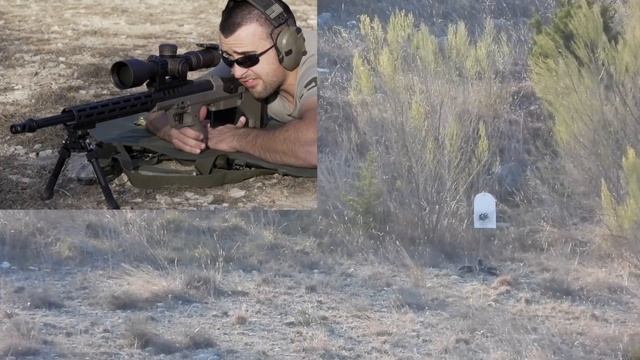 Bullpup Precision￼ Rifle? - Desert Tech SRS A2