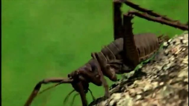 Walking with Dinosaurs [1999] - Giant Weta Screen Time смотреть онлайн