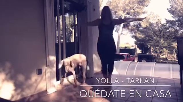 ZUMBA - YOLLA TARKAN смотреть онлайн