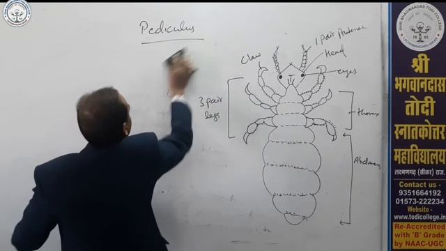 B. Sc. 2nd Year | Zoology | Pediculus | Gulshan Verma |Shri BhagwanDas Todi College смотреть онлайн