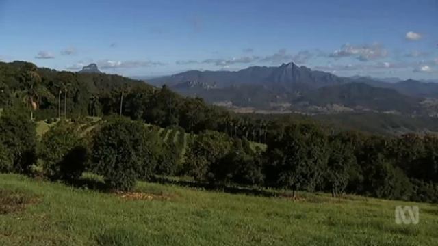 Australian citrus finger lime growers having trouble exporting to some countries смотреть онлайн