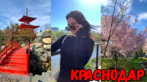 Солнечный КРАСНОДАР! Что посетить и где лучше погулять | ЭТО ПРОСТО