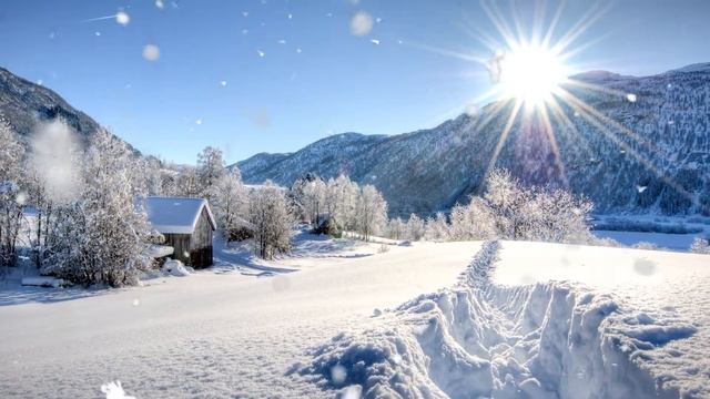 Фотозарисовка - Прекрасная зима! смотреть онлайн