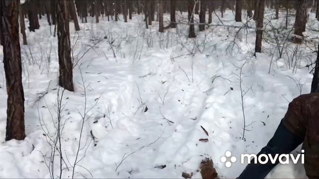 Заготовка дров смотреть онлайн