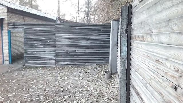 4DOG ЗКС (защитно-караульная служба) 003 смотреть онлайн