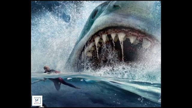 Megalodon Shark смотреть онлайн