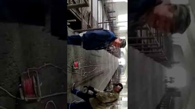 Реконструкция телятника СПК "Максимовский" смотреть онлайн