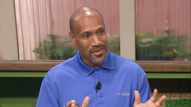 Q&A – What is this plant? (A: Money Plant or Annual Honesty) смотреть онлайн