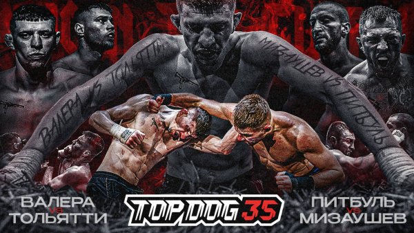 Валера VS Тольятти, Питбуль VS Мизаушев | TOP DOG 35, Тольятти