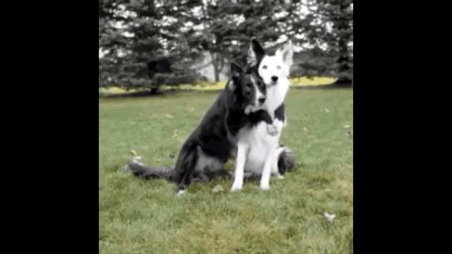 Потусим? Описание читать! смотреть онлайн