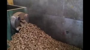 Пеллеты12 мм из соломы, производимые ударно-механическим прессом Wektor BT60