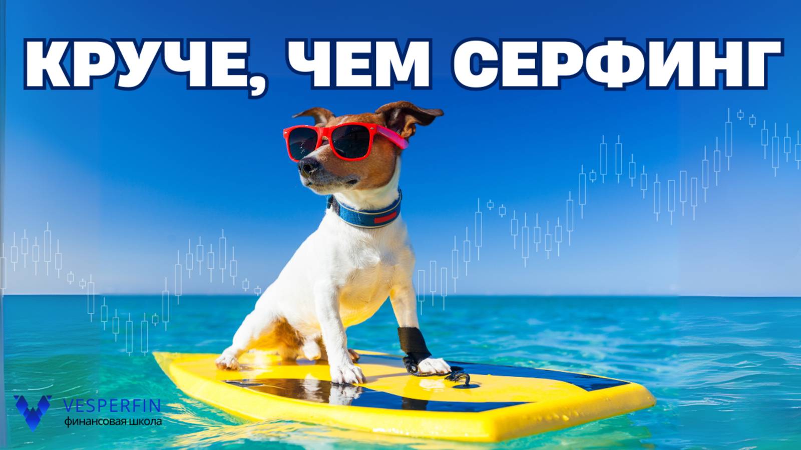 Круче, чем серфинг. Знакомство с курсом.