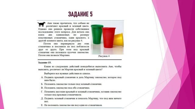 Функциональная грамотность_лекция 2