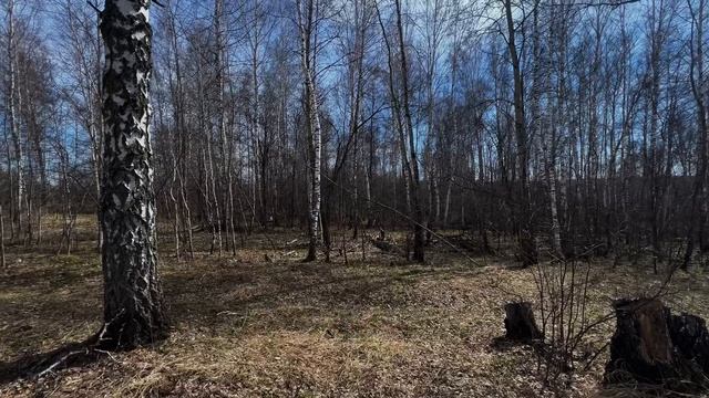 5843713 смотреть онлайн